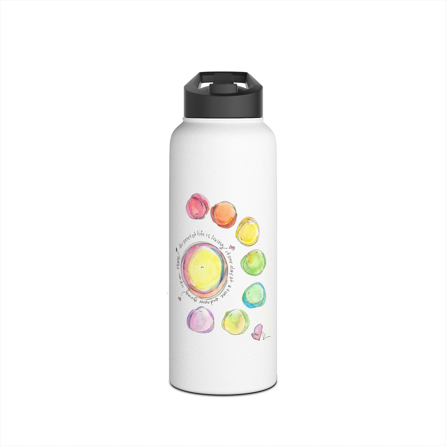 Stainless Steel Water Bottle, Standard Lid - The Secret to Life